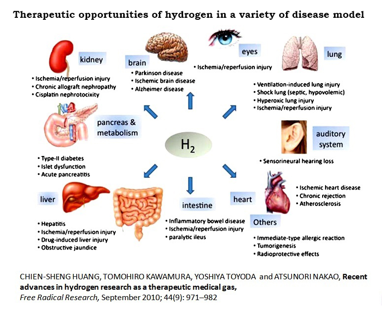active-hydrogen_disease_model.jpg